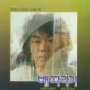 배따라기 이미지