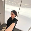 스테이아델 이미지