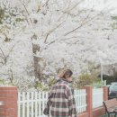 쌈바스냅