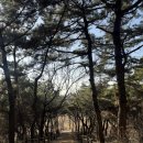 김밥산책 | 대구 두류공원 금봉산 산책 후기, 가볍게 올라 김밥 먹기 좋은 코스