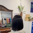 타샤헤어스튜디오