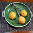 조흥농장 이미지