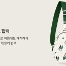 피노