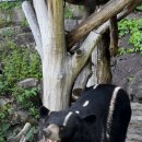 의신 베어빌리지 이미지