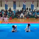 충효태권도(한들물빛관) 이미지