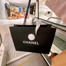 4386 | 샤넬 25C 미니 호보백 체인(AP4386) 사이즈 후기 및 착샷