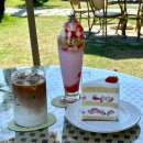 강남애견백화점 | 함평 딸기케이크 맛집 애견동반 카페, 키친205 함평 본점