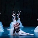 모노오페라 라 칼라스 | 🩰 [대구 3월 공연] 오페라하우스에 핀 봄의 낭만, 발레 <지젤> &amp; 오페라 <라 칼라스>