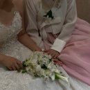 니랑나랑 | 결혼식 아이폰스냅 후기 니앤디스냅 Near and Dear