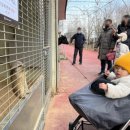 퍼스트가든 동물카페 이미지