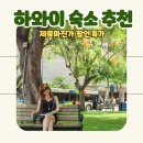 Travel Gym | 하와이 호놀룰루 여행 하얏트 센트릭 와이키키 비치 호텔 리조트 신혼여행숙소 추천