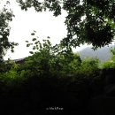 무릉계곡 진입로 이미지