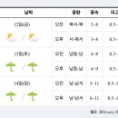 [여객선운항정보]2022년8월12일(금요일) 이미지