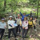 영월-장릉,선돌(26.7.4) 이미지