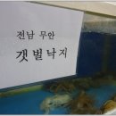 경성냉면 이미지