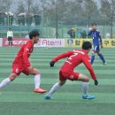 합천공설운동장 축구장 이미지