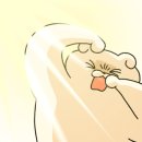 달려라찜닭 이미지