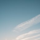 눈으로보는세상 이미지