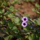 수석행정사사무소 이미지