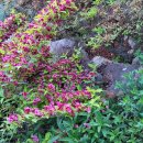 국장님, 반갑습니다 이미지