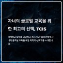 대전외국인학교 | [2025 대전외국인학교 TCIS 입학가이드] 학비, 기숙사, IB커리큘럼, 진학률 완전정리