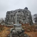마복산농장 Daum카페