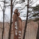 자작나무숲 가는 길 이미지