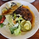 함박1천 이미지