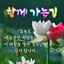 8월 16일 행복한 금요일 개 🐕 띠방 아침인사 🐕 이미지