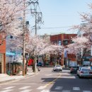 표선리-19 이미지