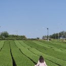 삼원목장 | 5월 제주도 2박3일 여행 코스