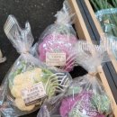 무원농장 이미지