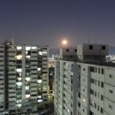 251204 고개 푹 숙이고 출석한 김건희... 징역 15년 구형 이미지