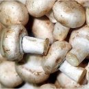 [식용버섯]양송이버섯의 효능과요리. 이미지