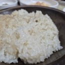 항정살돈천하