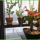 운정피부관리 체험기: 변화를 만나다!