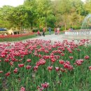 가루김밥떡볶이 이미지