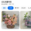 오도르플라워