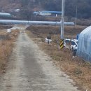 임대길농장 이미지