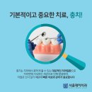 혜화치과의원 네이버블로그