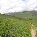 Town of Crested Butte 22/7/17 이미지