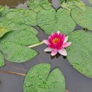 기우농장 이미지