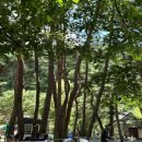 대동닭집 이미지