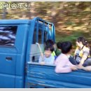 보은대추아리숲농원 이미지