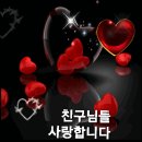 Adele - Make You Feel My Love 이미지