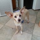 전주기린중학교 이미지