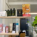 브로시스 이미지