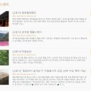 스테이 청춘 이미지