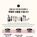봄헤어스프링헤어