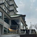 일루아 카페 | 부산 숙소 * 해운대 호텔 일루아 후기, 추천 달맞이길 오션뷰 벚꽃뷰 호캉스